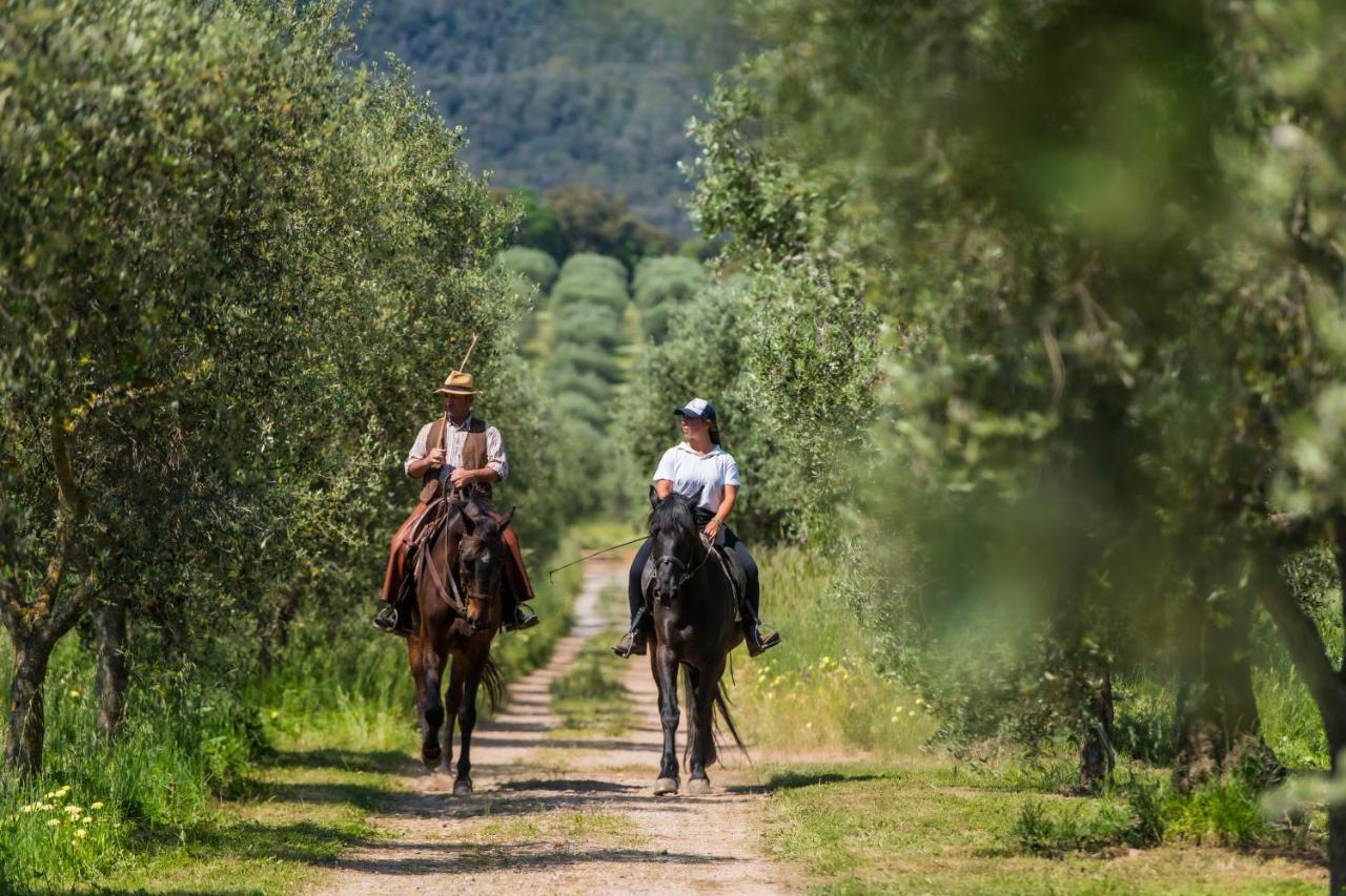 Tenuta Agricola Dell'Uccellina Magliano in Toscana Exterior foto