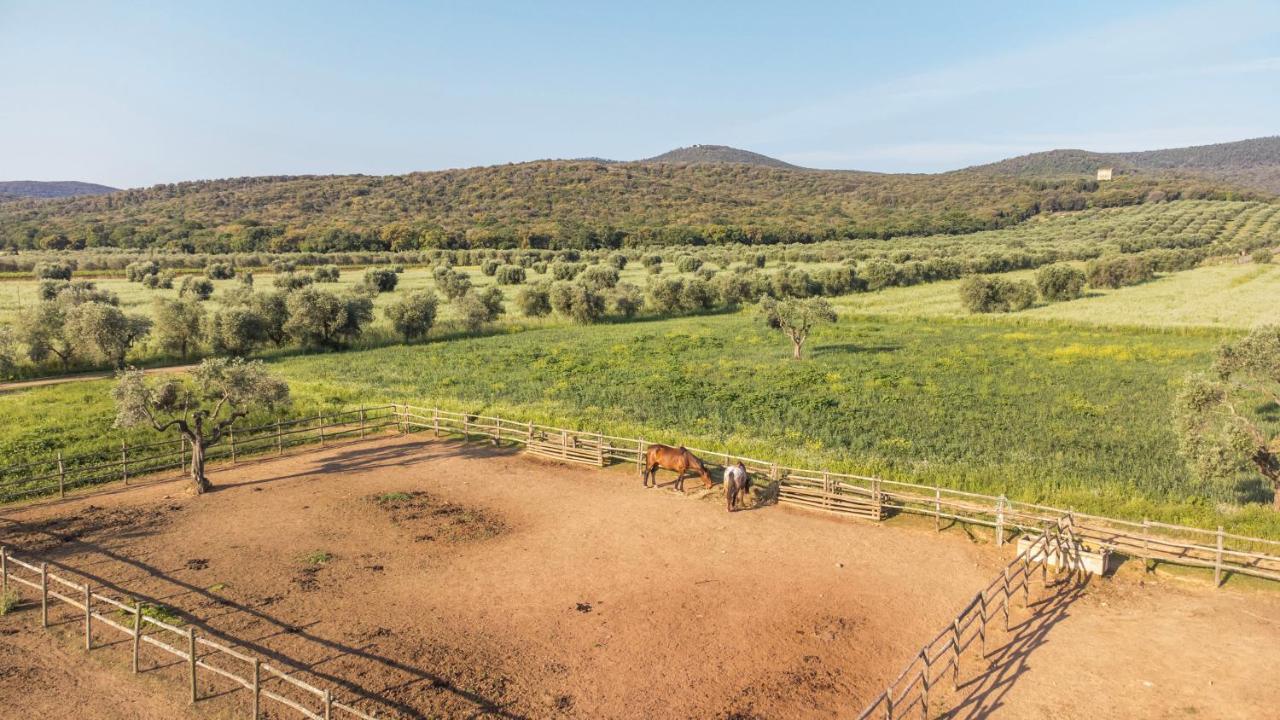 Tenuta Agricola Dell'Uccellina Magliano in Toscana Exterior foto