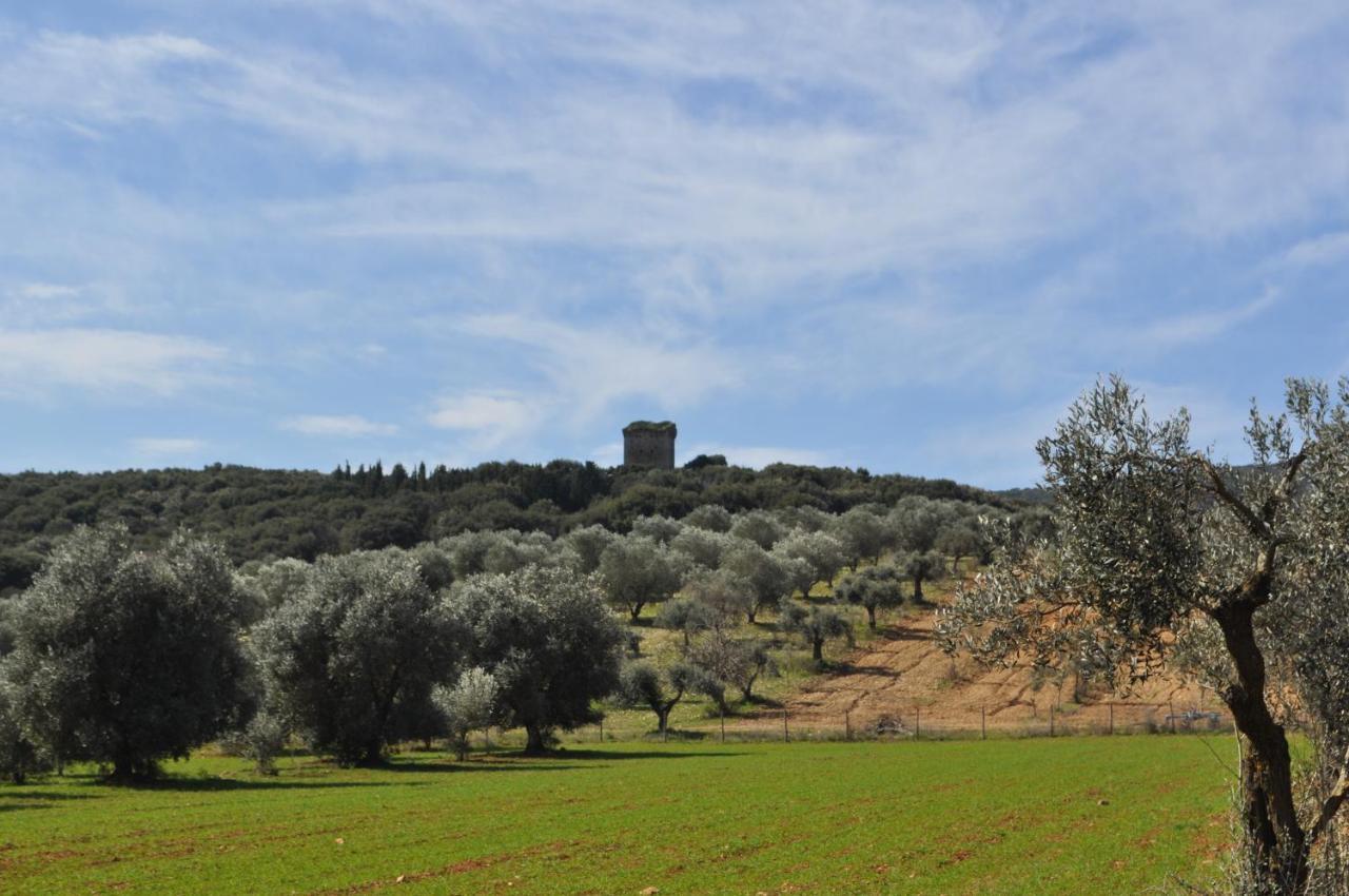 Tenuta Agricola Dell'Uccellina Magliano in Toscana Exterior foto